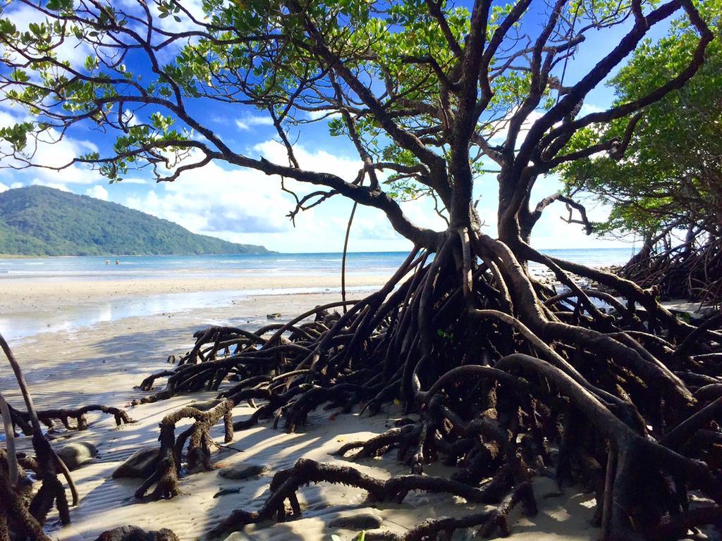 Cape Tribulation Holiday House Exteriér fotografie