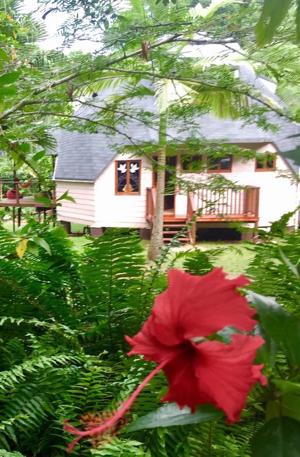 Cape Tribulation Holiday House Exteriér fotografie